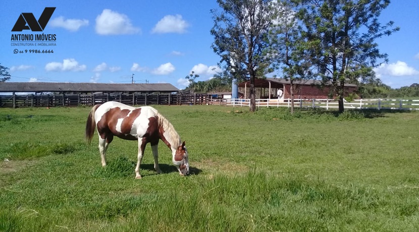 Cod. 091 – Fazenda a 76km de PVA