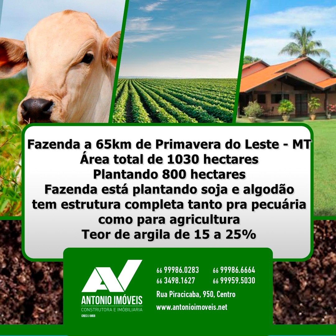 Cod. 110 – Fazenda a 65km de Primavera do Leste