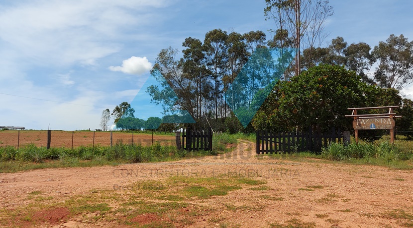 Cod. 214 – Fazenda com 607 hectares.