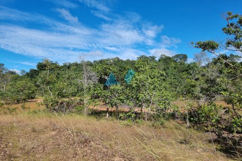 chacara sitio no municipio de poxoreo rico em agua primavera do leste mt antonio imoveis cod 03515