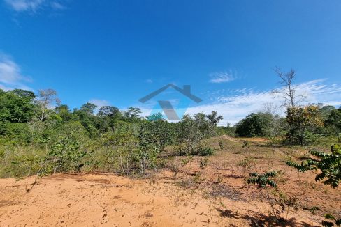 chacara sitio no municipio de poxoreo rico em agua primavera do leste mt antonio imoveis cod 03516