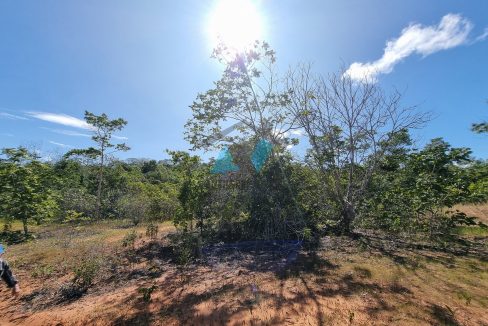 chacara sitio no municipio de poxoreo rico em agua primavera do leste mt antonio imoveis cod 03517