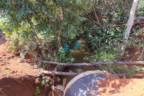 chacara sitio no municipio de poxoreo rico em agua primavera do leste mt antonio imoveis cod 03522