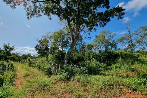 chacara sitio no municipio de poxoreo rico em agua primavera do leste mt antonio imoveis cod 0353