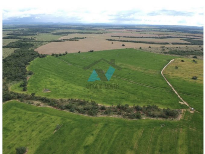 Cod. 009 – Fazenda a 21km de Paranatinga com 570ha