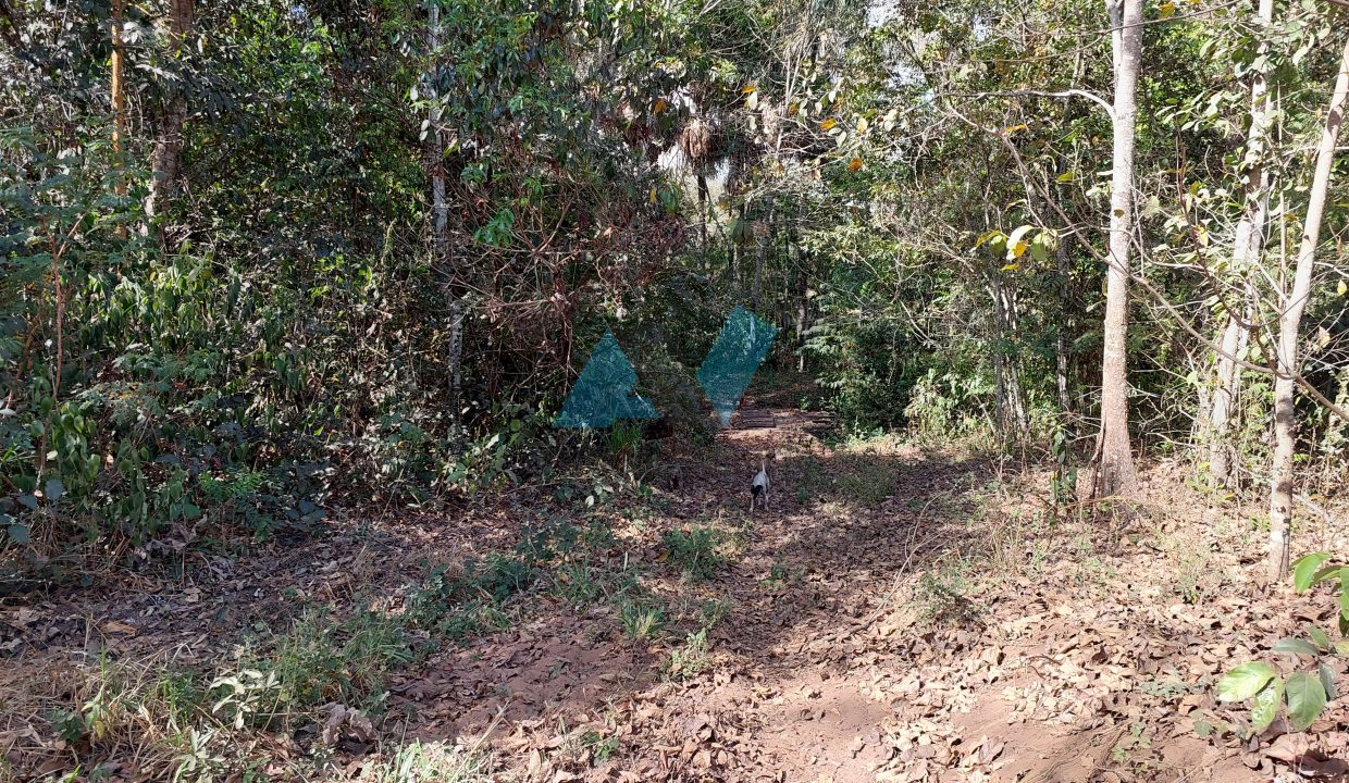 Chacará sentido Toca Jcaré 15km Primavera do Leste MT Antonio Imóveis cód 18812-012