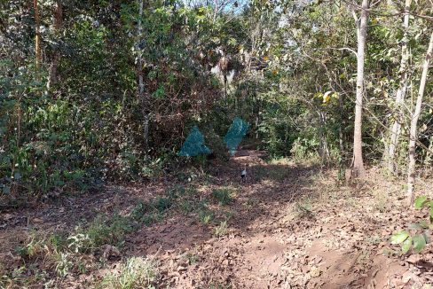 Chacará sentido Toca Jcaré 15km Primavera do Leste MT Antonio Imóveis cód 18812-012