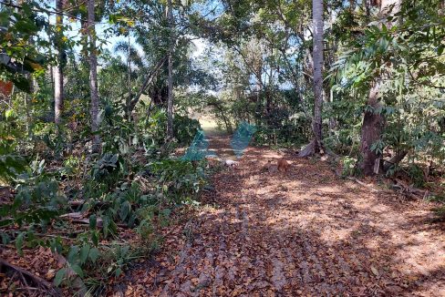 Chacará sentido Toca Jcaré 15km Primavera do Leste MT Antonio Imóveis cód 18813-013