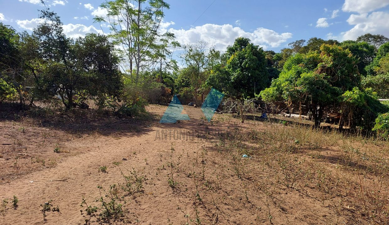 Chacará sentido Toca Jcaré 15km Primavera do Leste MT Antonio Imóveis cód 1886-006