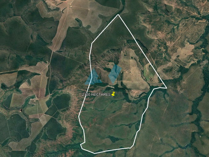 Cod. 082 – Fazenda a venda a 100 KM de Paranatinga na MT 130