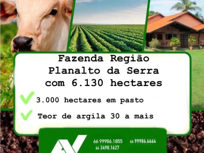 Cód. 213 – Fazenda na Região de Planalto da Serra à 100 km de Campo Verde