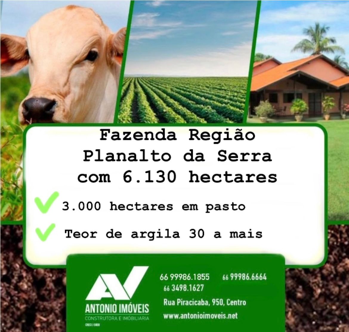 Cód. 213 – Fazenda na Região de Planalto da Serra à 100 km de Campo Verde