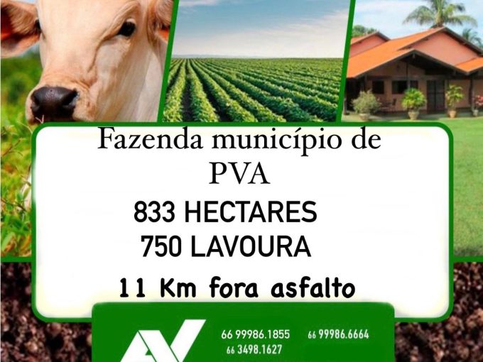 Cód. 216 – Fazenda no município de Primavera do Leste