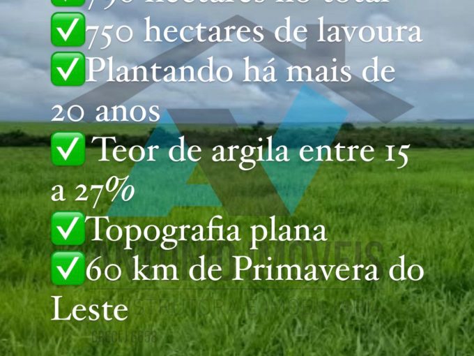 Cód. 246 – OPORTUNIDADE PARA VOCÊ INVESTIDOR – Fazenda 60 Km de Primavera do Leste