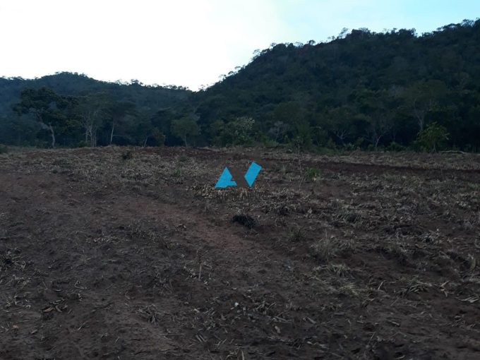 Chácara Vende-se sentido Campo Verde 28km asfalto + 5km chão – Cód. 345