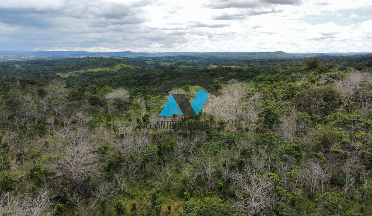Vende-se Fazenda Proximo a Dom Aquino Primavera do Leste MT Imobiliaria Antonio Imoveis Cód. 348IMG-20230731-WA0085