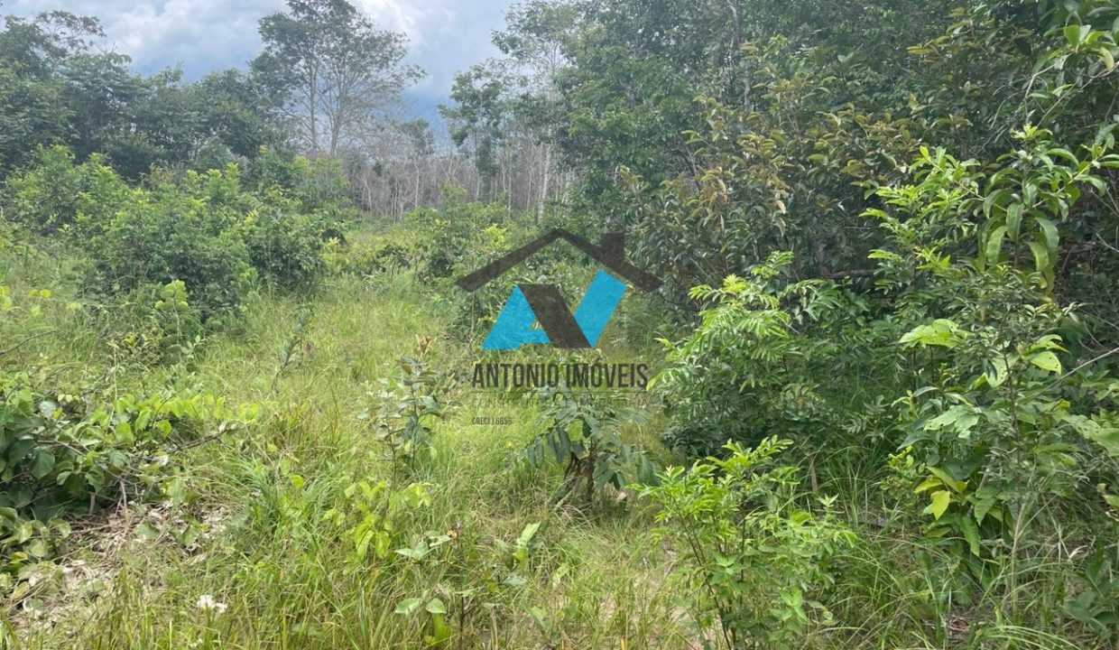 Vende-se Fazenda Proximo a Dom Aquino Primavera do Leste MT Imobiliaria Antonio Imoveis Cód. 348IMG-20230731-WA0086