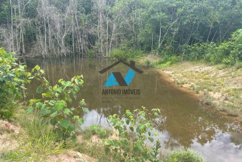 Vende-se Fazenda Proximo a Dom Aquino Primavera do Leste MT Imobiliaria Antonio Imoveis Cód. 348IMG-20230731-WA0089