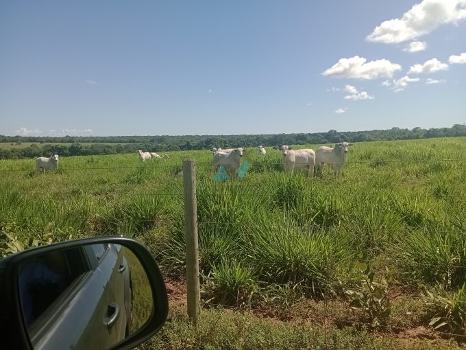 Cod. 277 – Fazenda a 95 km de primavera do leste sentido Barra do Garça