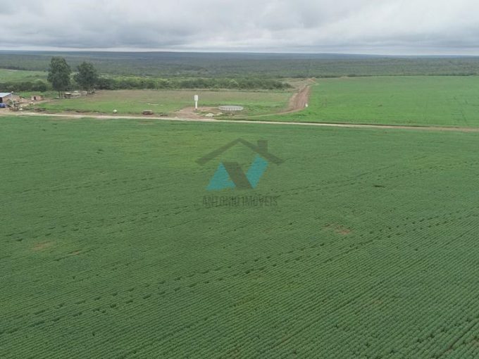 Cod. 253 – Fazenda no Município de Paranatinga com 2.188 hectares