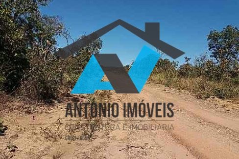 Vende-se Fazenda 6000ha Primavera do Leste MT Imobiliaria Antonio Imoveis Cód.252IMG-20240430-WA0018