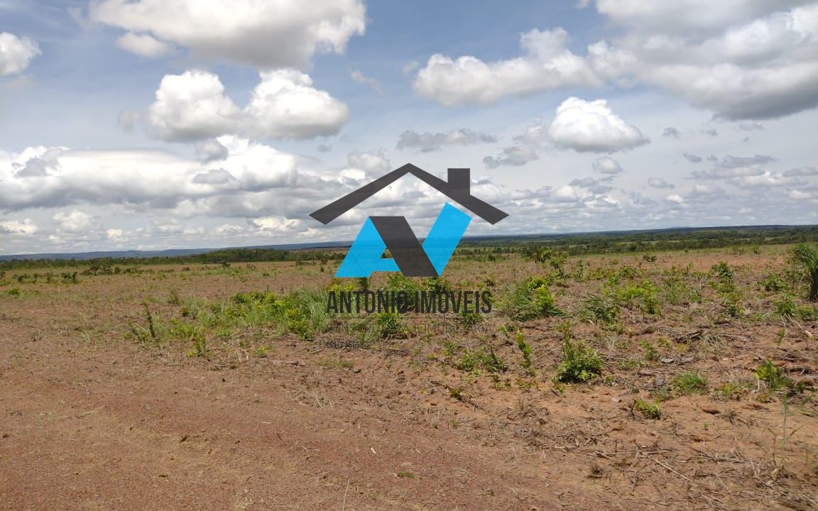 Vende-se Fazenda 6000ha Primavera do Leste MT Imobiliaria Antonio Imoveis Cód.252IMG-20240430-WA0020