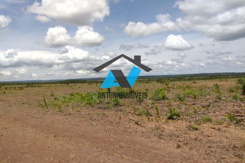 Vende-se Fazenda 6000ha Primavera do Leste MT Imobiliaria Antonio Imoveis Cód.252IMG-20240430-WA0020