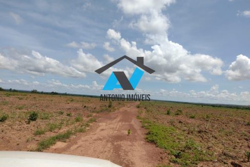 Vende-se Fazenda 6000ha Primavera do Leste MT Imobiliaria Antonio Imoveis Cód.252IMG-20240430-WA0022