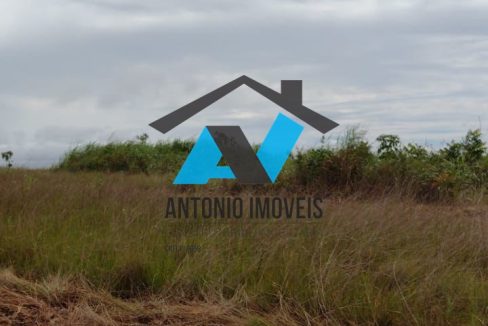 Vende-se Fazenda 6000ha Primavera do Leste MT Imobiliaria Antonio Imoveis Cód.252IMG-20240430-WA0025