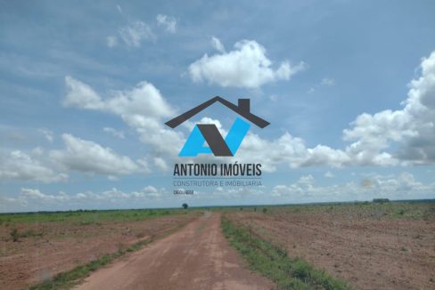 Vende-se Fazenda 6000ha Primavera do Leste MT Imobiliaria Antonio Imoveis Cód.252IMG-20240430-WA0030