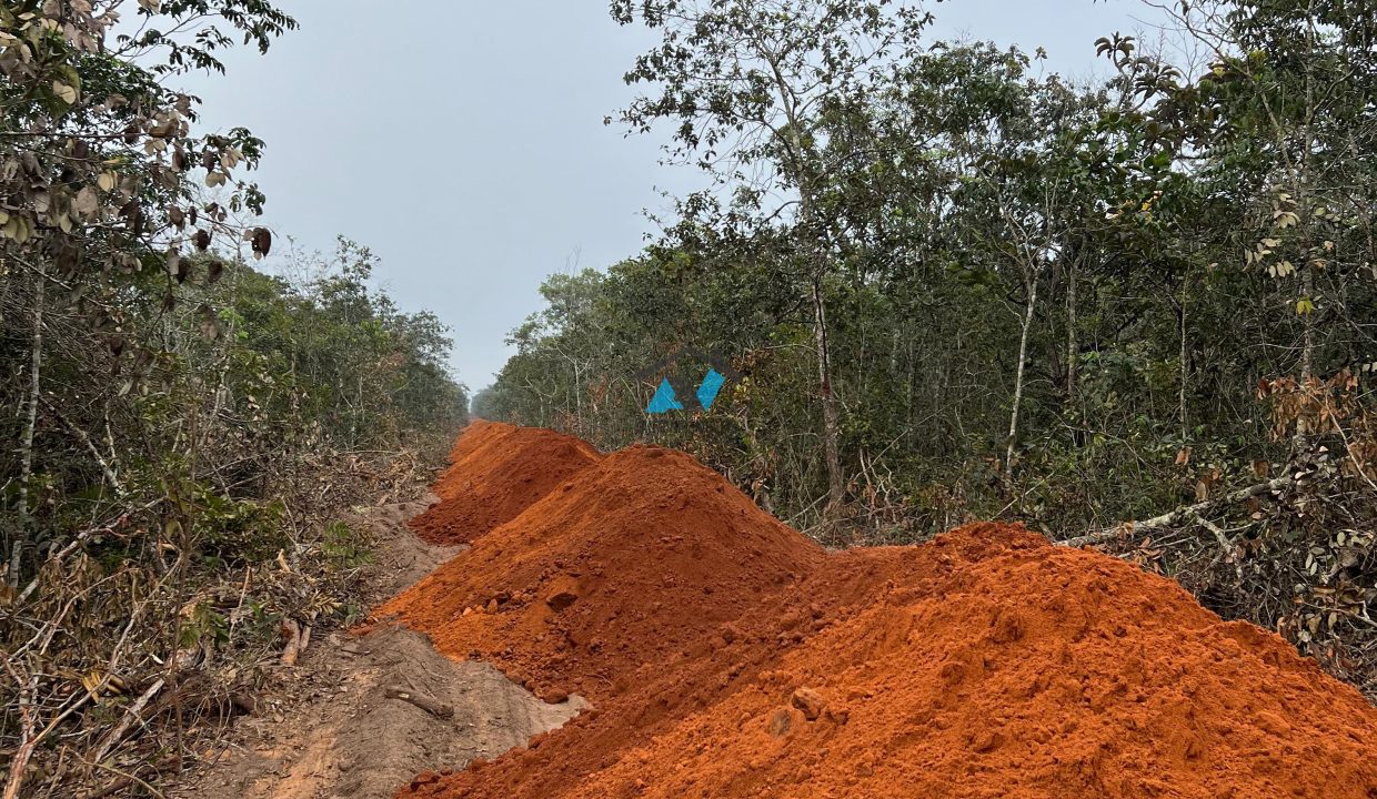 Vende-se Fazenda 5000ha Primavera do Leste MT Imobiliaria Antonio Imoveis Cód.011IMG-20240522-WA0017