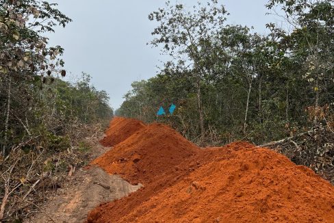 Vende-se Fazenda 5000ha Primavera do Leste MT Imobiliaria Antonio Imoveis Cód.011IMG-20240522-WA0017