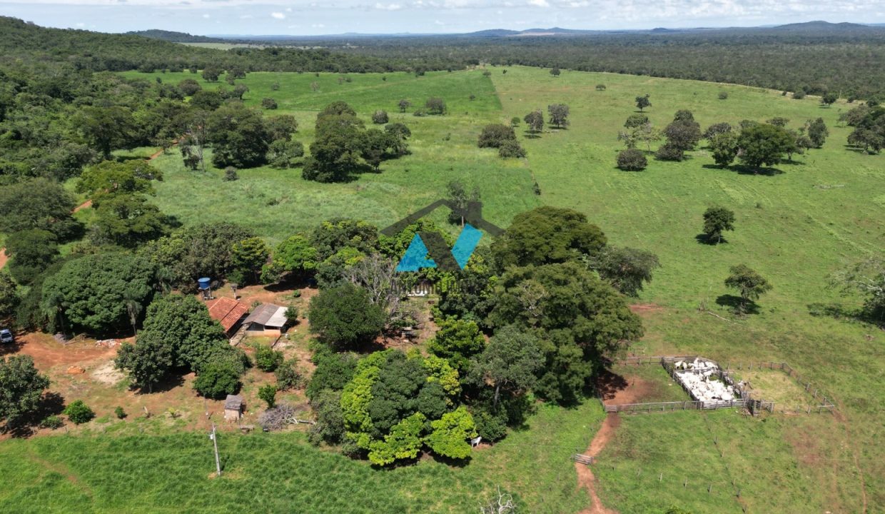 Vende-se Fazenda Municipio Campinapolis, 18km de Sao Jose do Couto Primavera do Leste MT Imobiliaria Antonio Imoveis. Cod 217IMG-20240807-WA0176