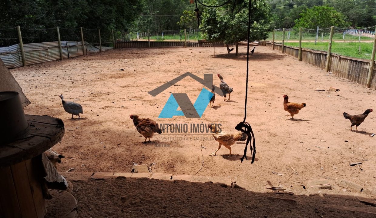 Vende-se Chacara a 30km sentido toca do jacare Primavera do Leste MT Imobiliaria Antonio Imoveis. Cod. 282IMG-20250711-WA0004