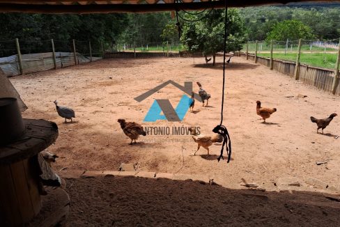 Vende-se Chacara a 30km sentido toca do jacare Primavera do Leste MT Imobiliaria Antonio Imoveis. Cod. 282IMG-20250711-WA0004