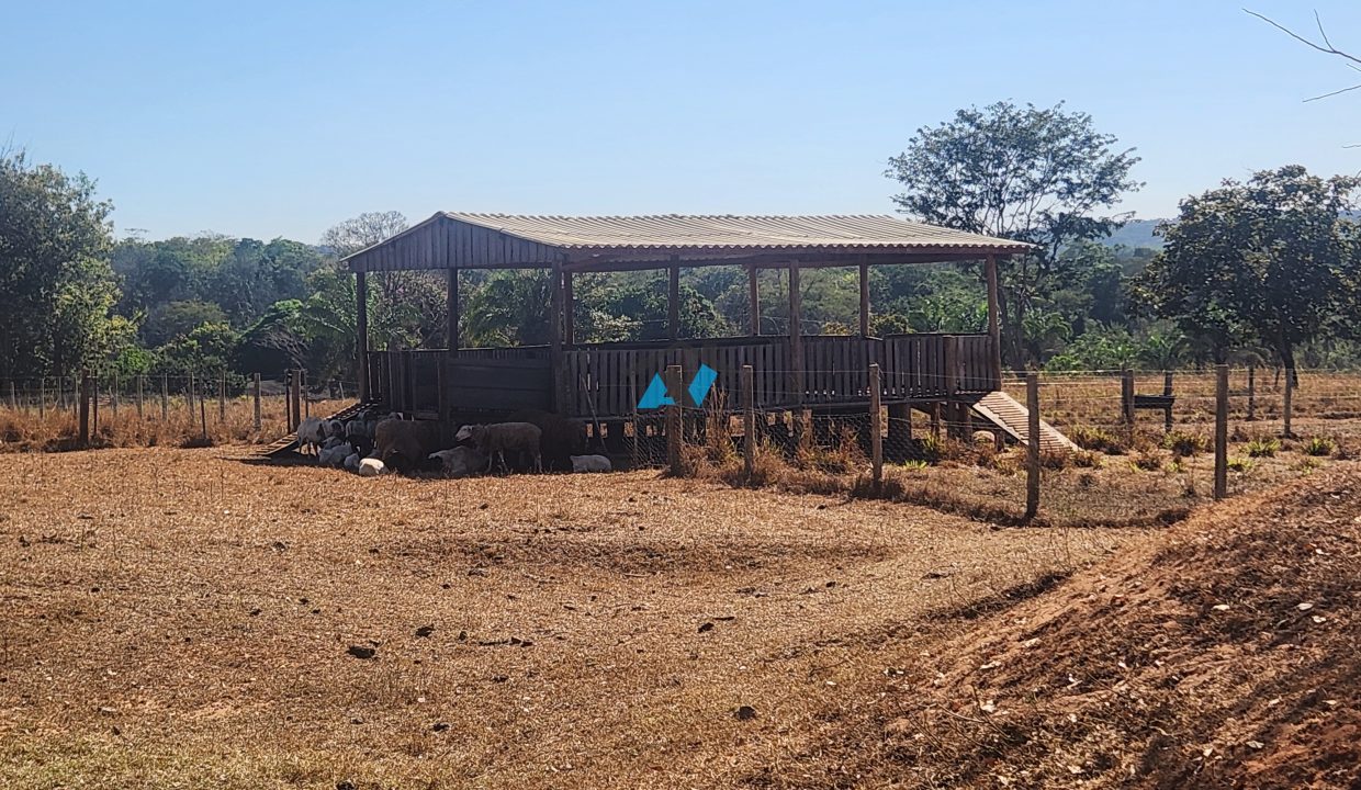 Vende-se Fazenda Primavera do Leste MT Imobiliaria Antonio Imoveis. Cod. 14020250723_093715