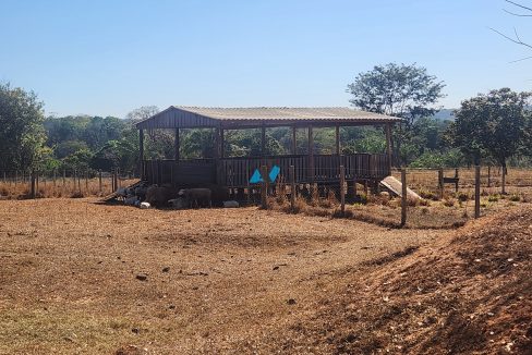 Vende-se Fazenda Primavera do Leste MT Imobiliaria Antonio Imoveis. Cod. 14020250723_093715