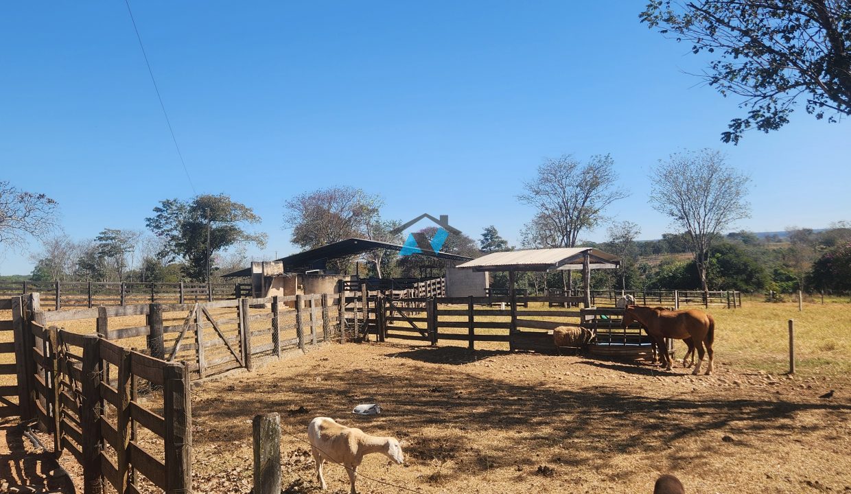 Vende-se Fazenda Primavera do Leste MT Imobiliaria Antonio Imoveis. Cod. 14020250723_094135