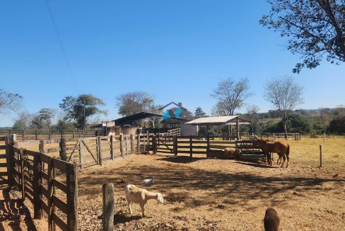 Vende-se Fazenda Primavera do Leste MT Imobiliaria Antonio Imoveis. Cod. 14020250723_094135