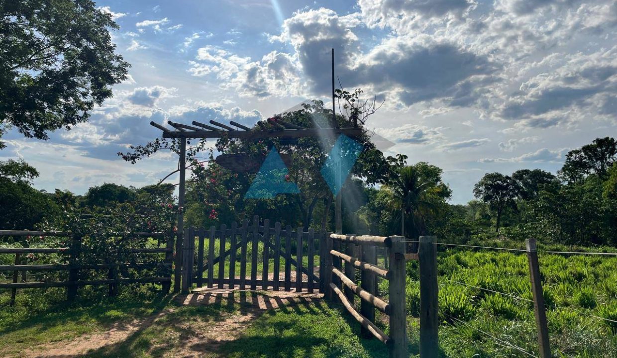 WhatsApp Image 2025-12-10 at 12.54.12