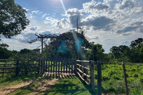 WhatsApp Image 2025-12-10 at 12.54.12