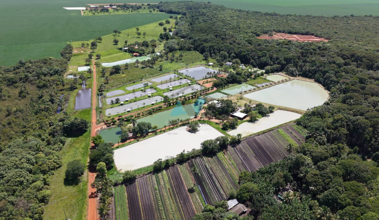 WhatsApp Image 2026-01-21 at 07.58.13 (1)