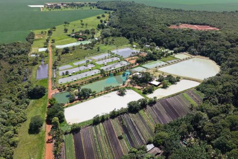 WhatsApp Image 2026-01-21 at 07.58.13 (1)