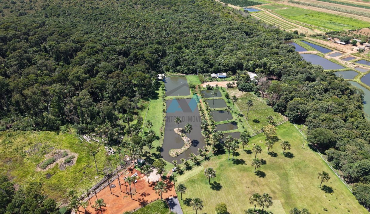 WhatsApp Image 2026-01-21 at 07.58.13