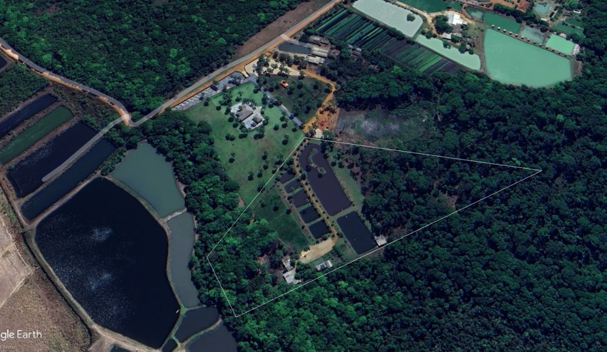 WhatsApp Image 2026-01-21 at 09.16.08